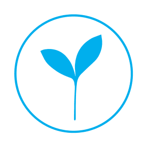 welness blue leaf icon - wellness package